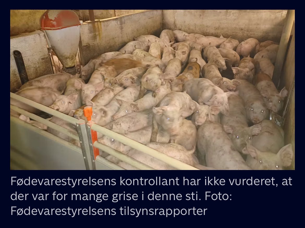 Michael Monberg - Alternativet tweet media