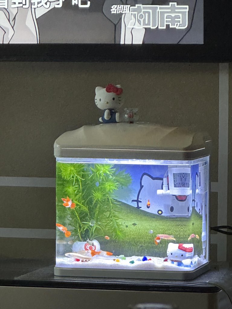 Hellokitty fish tank.🫧🐟
