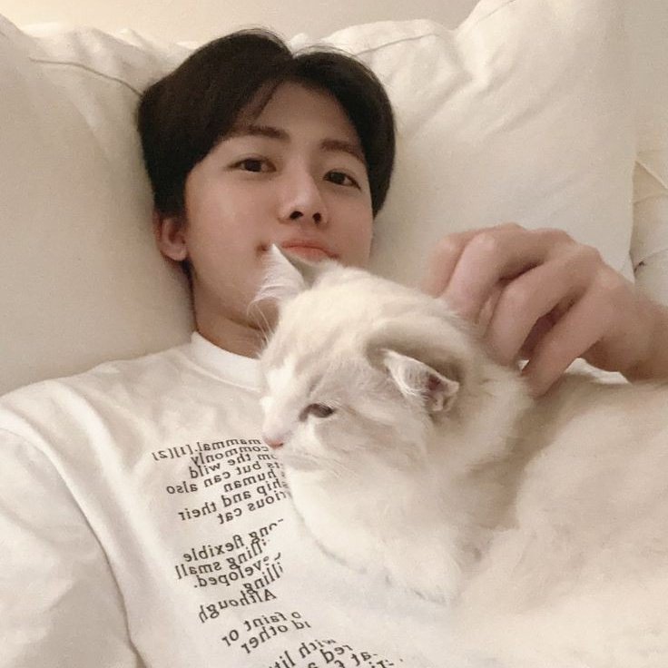 🐾 (@pupleejeno) / Posts / X