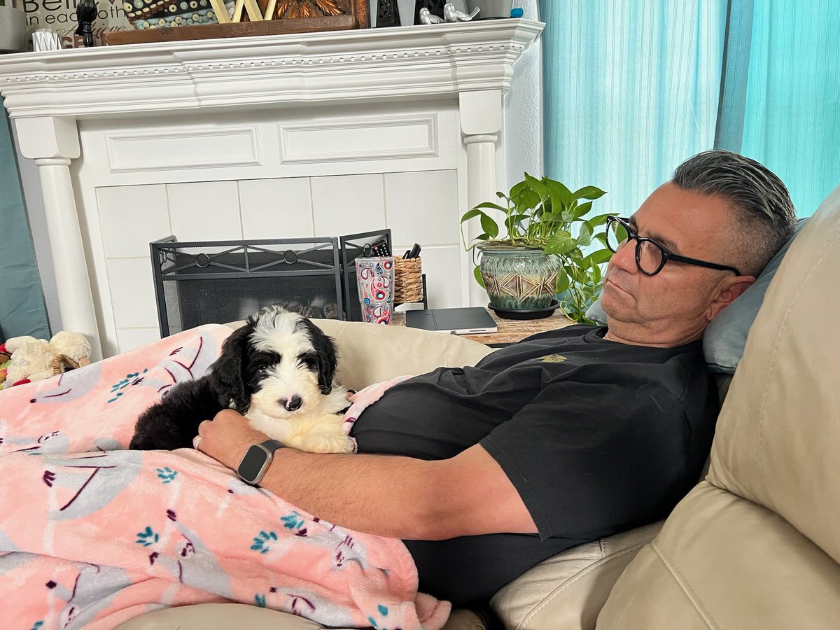 Shawna Werts tweet media