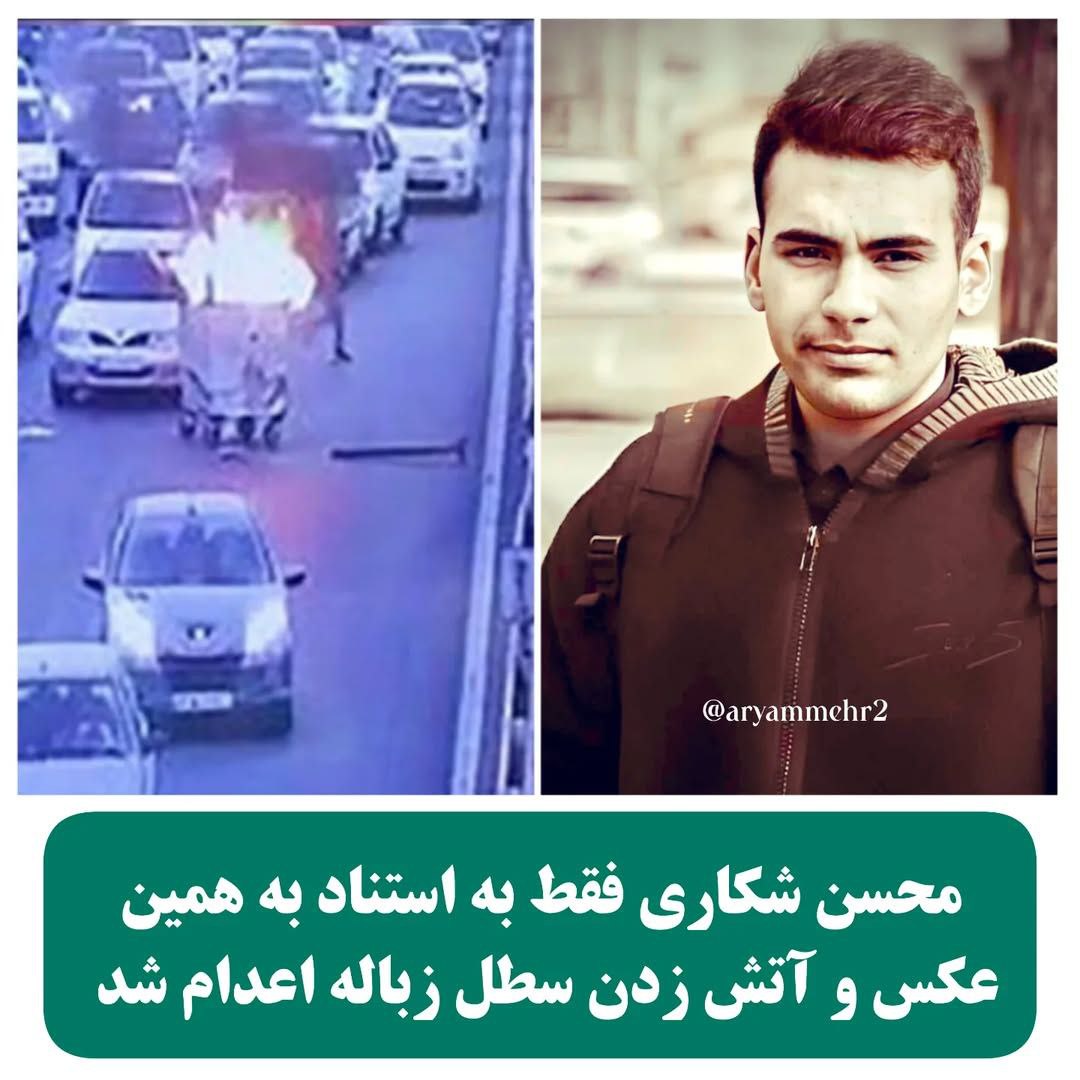 mahboubeh bayat محبوبه بیات tweet media