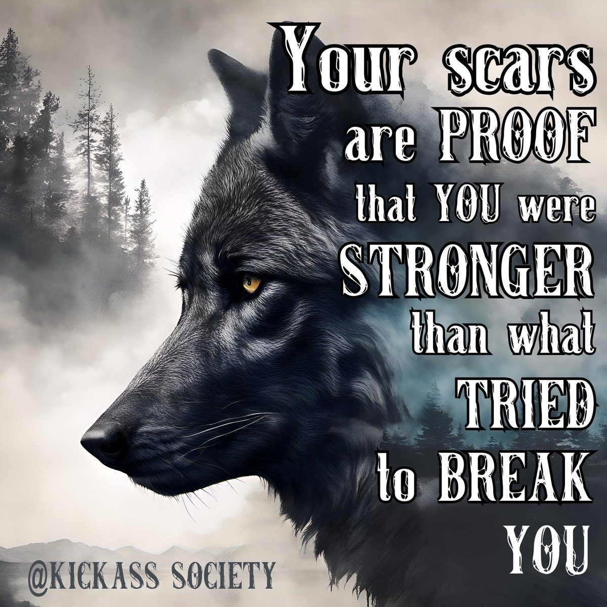 KickassSociety's tweet photo. https://t.co/NOJSY7s6PP