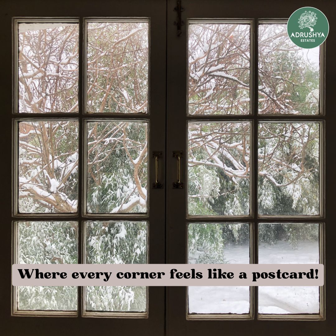 AdrushyaEstates's tweet photo. ✨ Escape to a #winterwonderland! ❄️ Discover the serene beauty of #AdrushyaEstates, a hidden gem in #Mukteshwar. 
With postcard-perfect views and a peaceful atmosphere, it's your ultimate getaway this season. 🌨️🏔️  
📍 Less than 50 km from #Nainital https://t.co/UjeJLORzgq