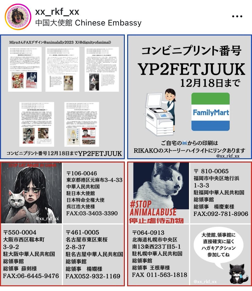 YOZOpine's tweet photo. 動物虐待を取り締まる法律がない中国で猫を残酷に殺す動画を撮る団体がいくつもあるというニュース。こんなにひどすぎてかわいそうなことをやめてほしい。何かできることがないか検索してみたところ、在日中国大使館にハガキを送るアクションがあるとのことで早速送りました。動物好きな人やってみてね https://t.co/lx5W9GXn0n