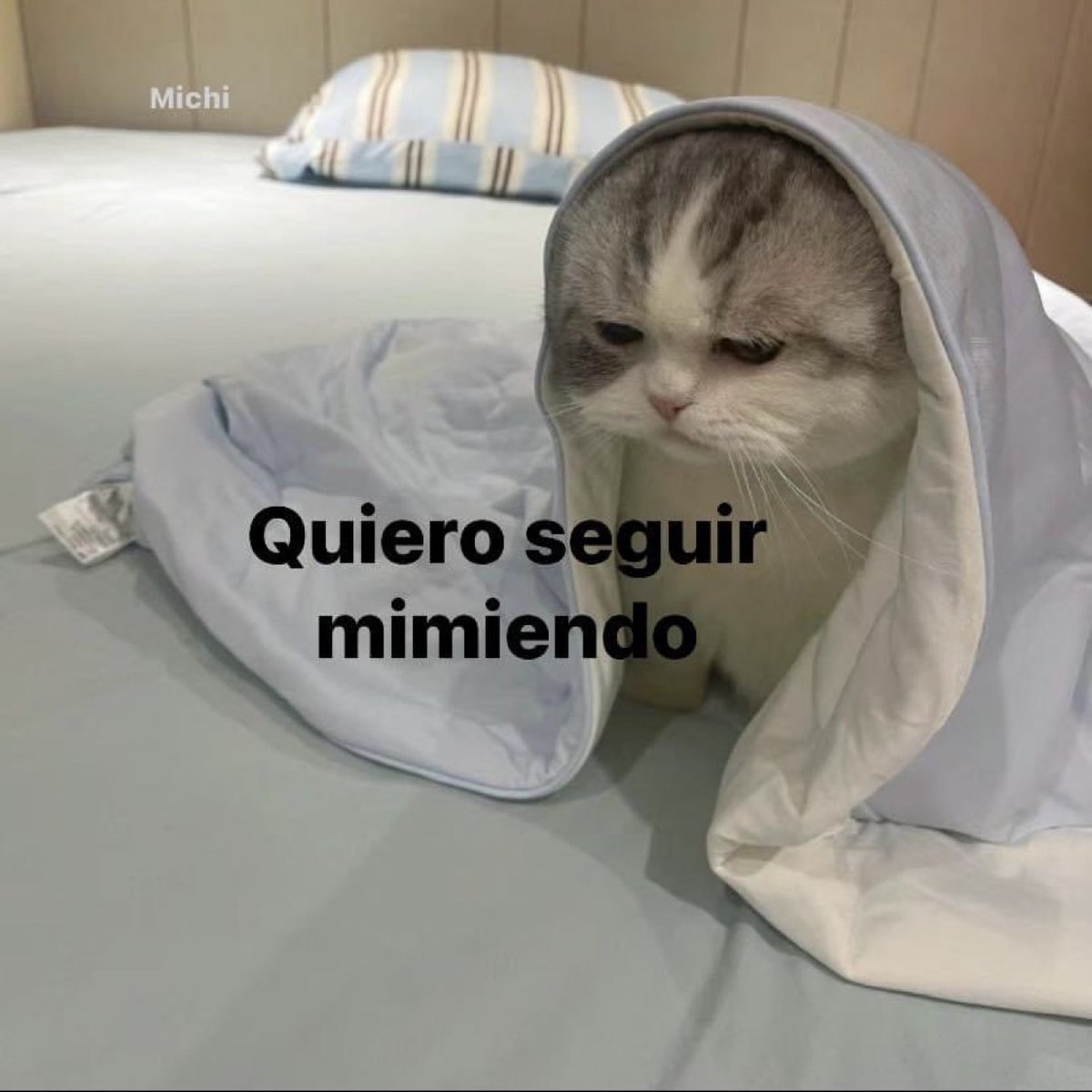 Guarromantico_'s tweet photo. Quiero. https://t.co/6cRPMuOhaF