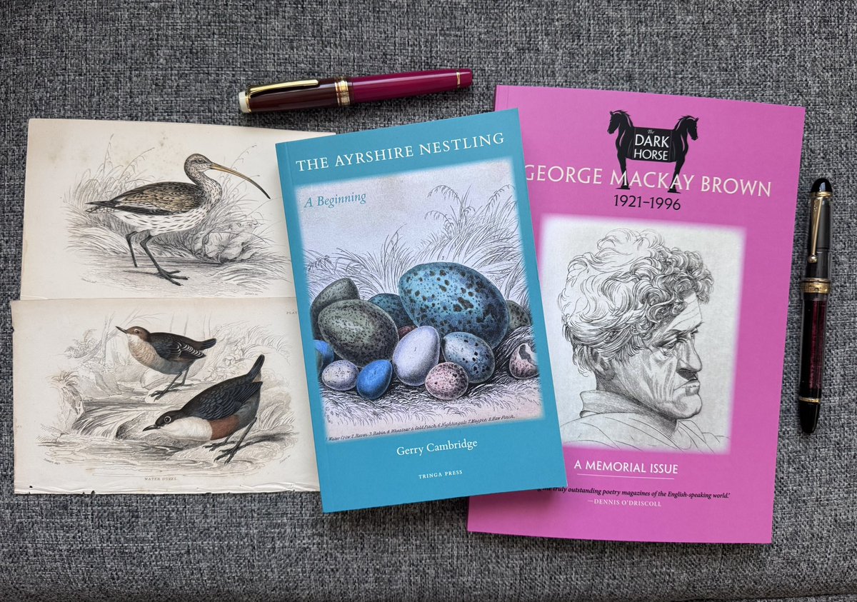 A wee special offer in this season of gifts: 👇