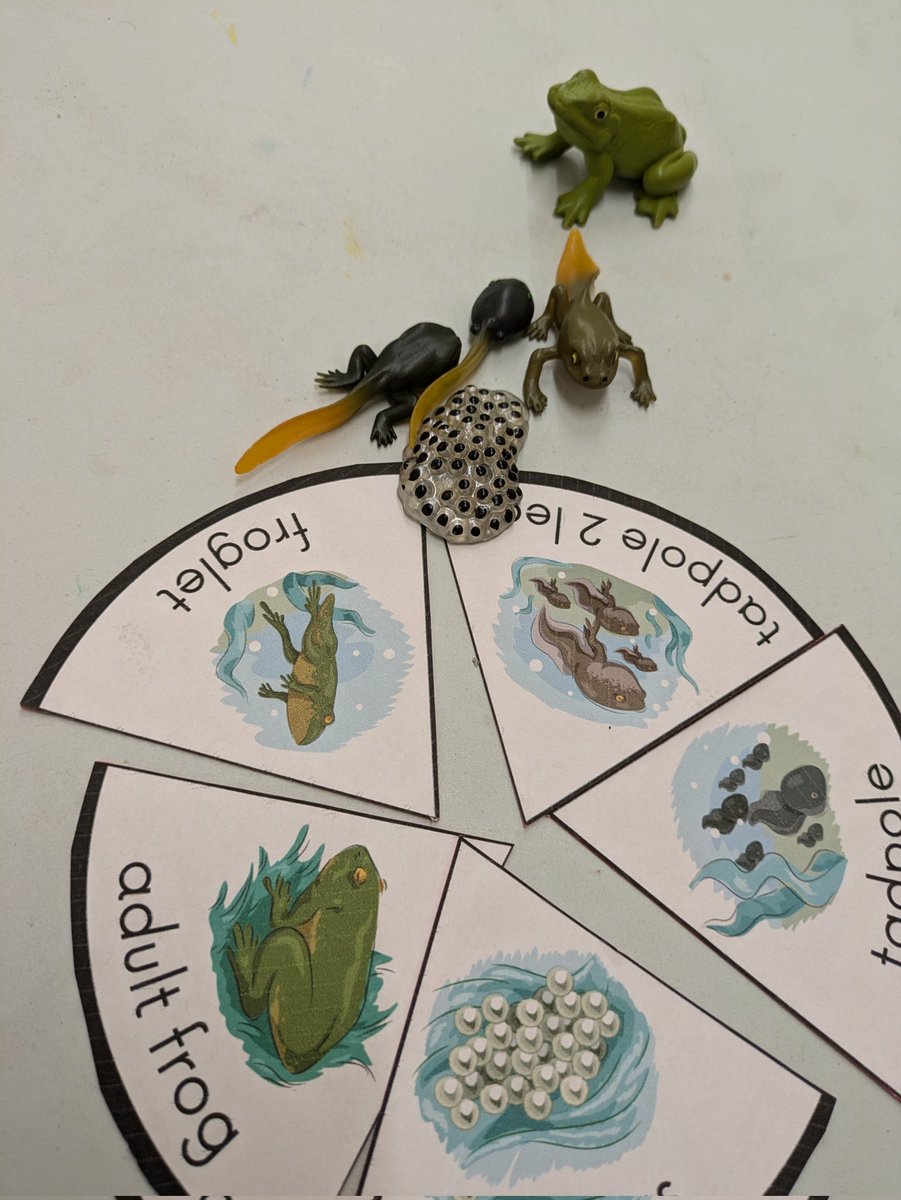 Community Supporters tweet media