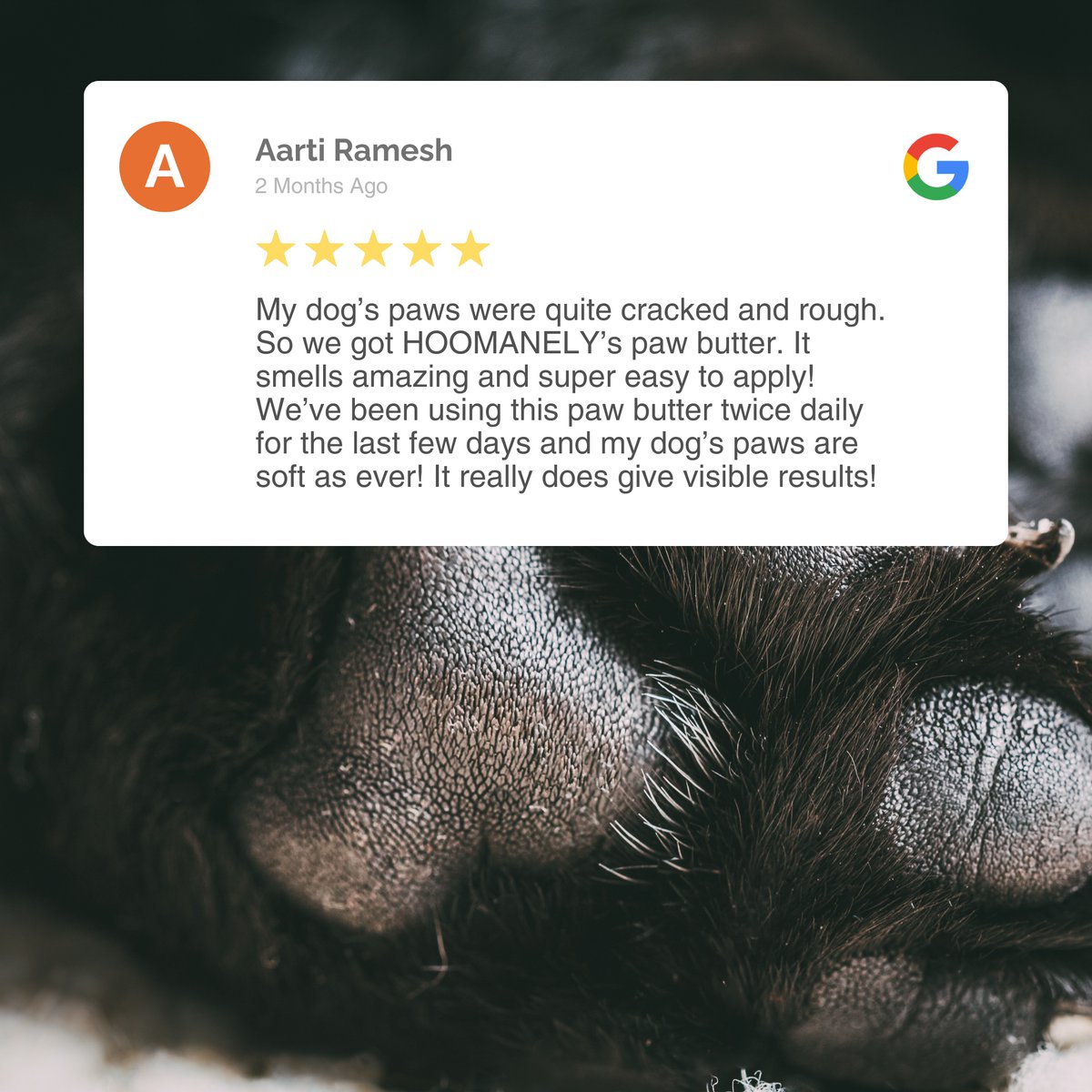 hoomanely's tweet image. Winters are here, and Krishna’s hoomans keep his paws soft and protected with Hoomanely’s Paw Butter! Easy to apply, smells amazing, and delivers visible results in just days. Ready to winter-proof your pet kiddo’s paws? Link in bio!
#Hoomanely #safefordogs #safefornature