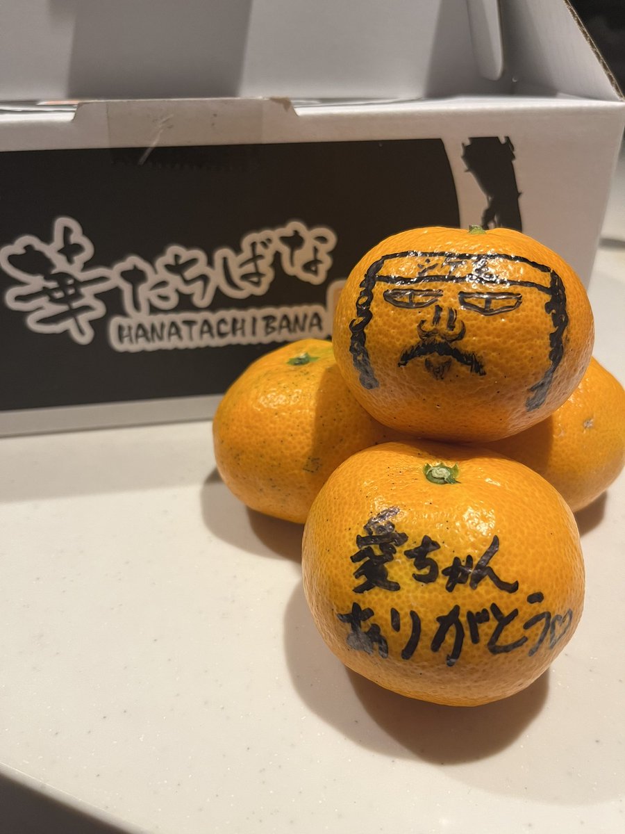 mugiwara1981's tweet photo. ミカン頂戴して幸せなシケオウ❣️
#七尾湾の海賊　#シケオウ　#旬の食材　#みかん　#こたつでみかん https://t.co/GLAfJkcns2