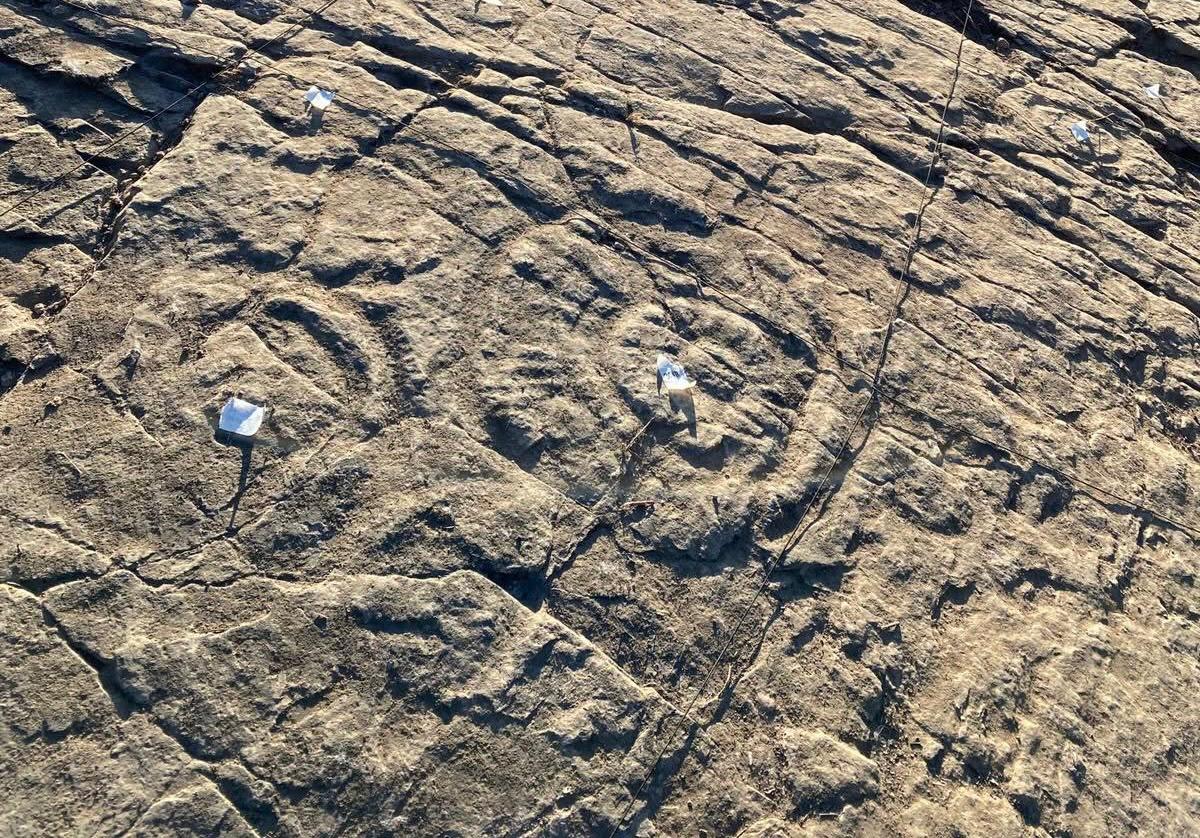IAPHpatrimonio's tweet photo. Visita de seguimiento con nuestro laboratorio móvil al Monumento Natural Huellas Fósiles de Medusas #Constantina. Verificamos los resultados de los tratamientos de #conservación aplicados, como biocidas e hidrofugantes, para proteger y preservar este tesoro geológico único. https://t.co/OnvR9uzwbd