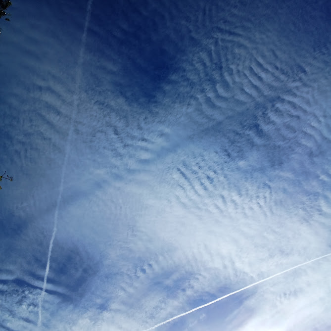 vincent9278's tweet photo. #GeoengineeredSky #Agenda2030 #NGO @GovRonDeSantis @FLSurgeonGen 
The sky should be clear for a few days after this front, but we usually have all the lines that spread out and cause a haze over the Sun. It also is being sprayed at night.
https://t.co/6QJZPf1PWl https://t.co/yW5Bs3WcbZ