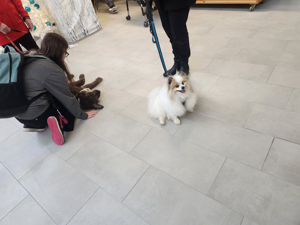 Lily &amp; Luna are blessing us  with their love at St. Kateri