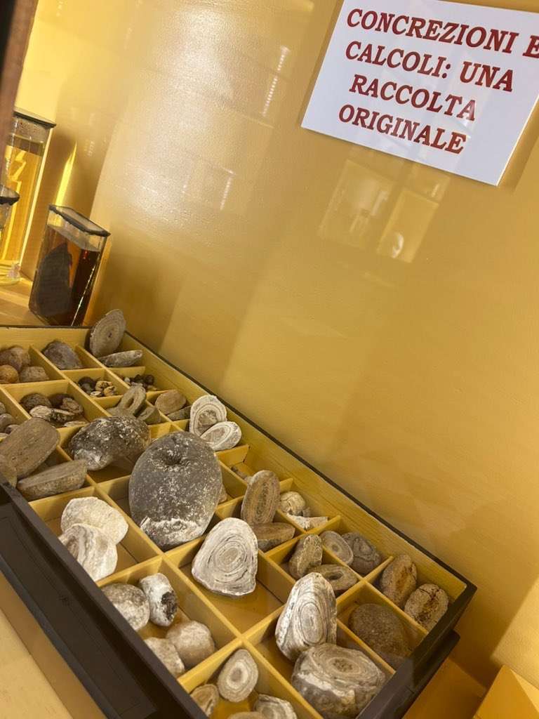 fifia_la's tweet photo. No todo son góndolas en #Venezia   Museum of Pathological Anatomy-Ss Giovanni e Paolo Hospital https://t.co/EpzOz9otTU