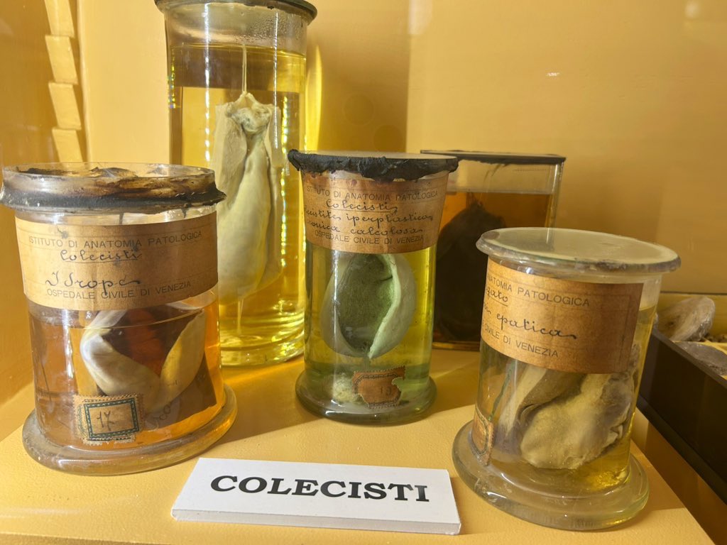 fifia_la's tweet photo. No todo son góndolas en #Venezia   Museum of Pathological Anatomy-Ss Giovanni e Paolo Hospital https://t.co/EpzOz9otTU