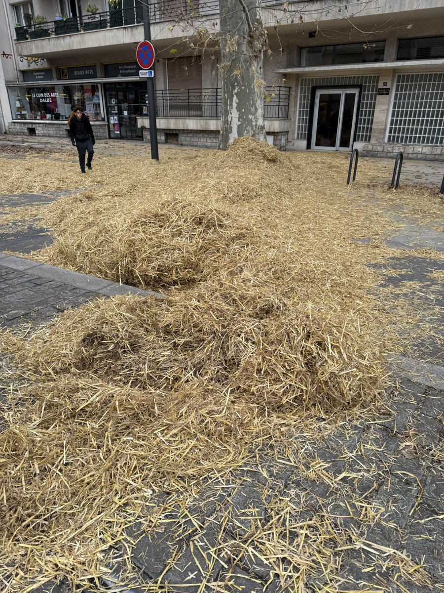 Philippe Frei tweet media