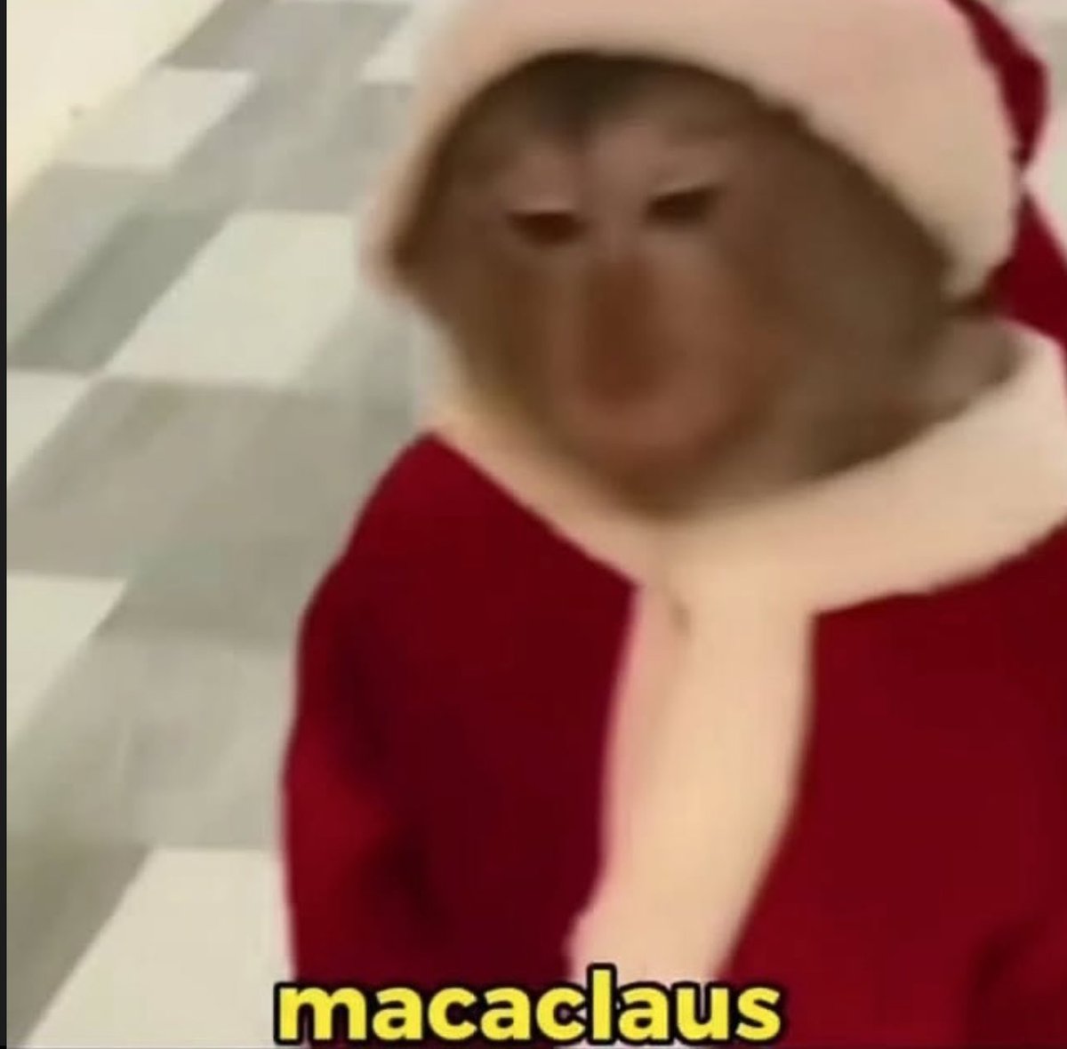 piña sin pizza tweet media