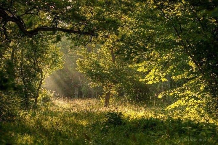 elemmiressoul's tweet photo. serene. https://t.co/WQgzHPRTxE