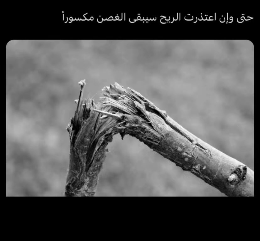 Abdalrhmnff1's tweet photo. حتى وإن اعتذرت الريح سيبقى الغصن مكسوراً . https://t.co/kUbsYdbDwb