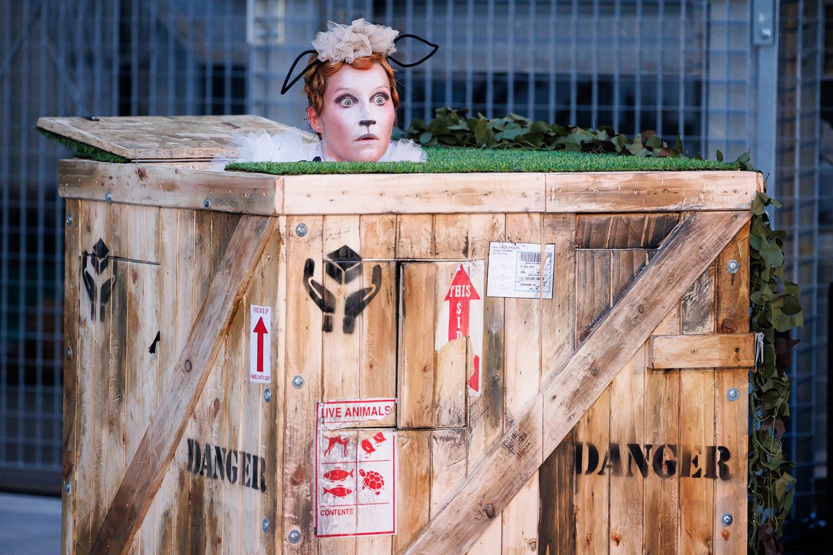 The Arts Council / An Chomhairle Ealaíon tweet media