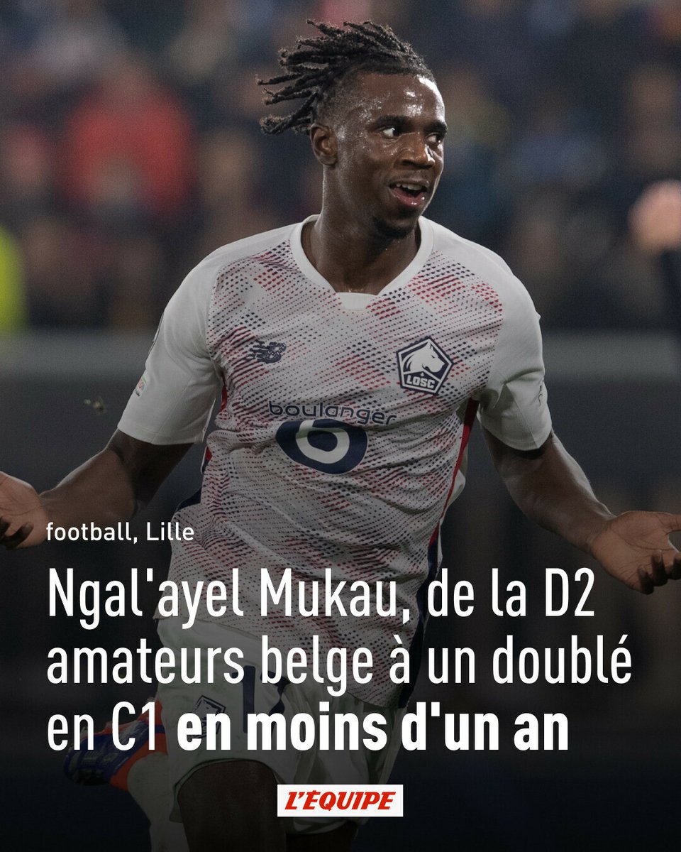 Ngal'ayel Mukau, de la D2 amateurs belge à un doublé en C1 en moins d'un an

Encore avec la réserve de Malines en décembre 2023, le milieu du LOSC et de la RD Congo a changé de dimension. Son doublé à Bologne, il y a deux semaines, l'a confirmé. l.lequipe.fr/GU