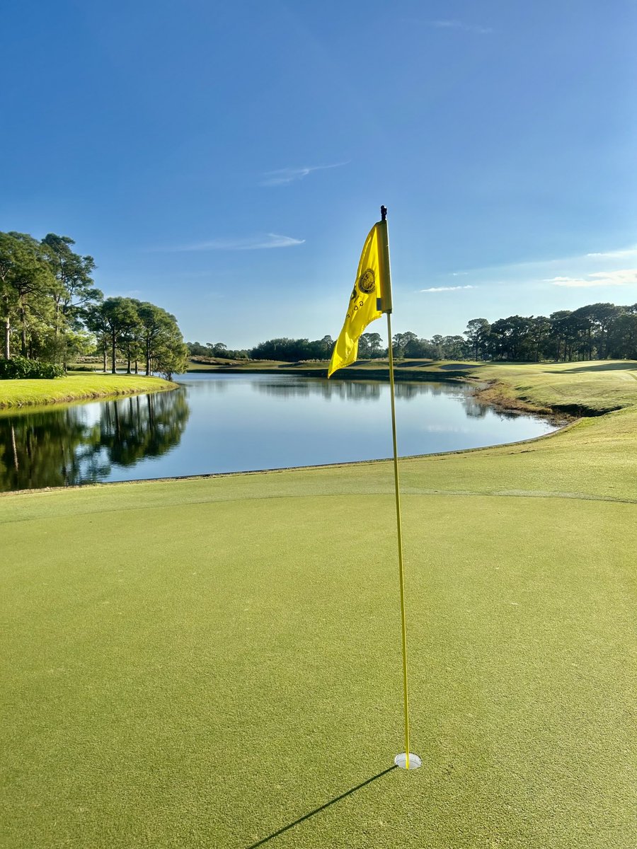 Christopher Sykes tweet media