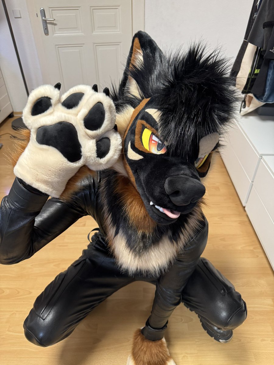 I do tricks for treats btw 🐕