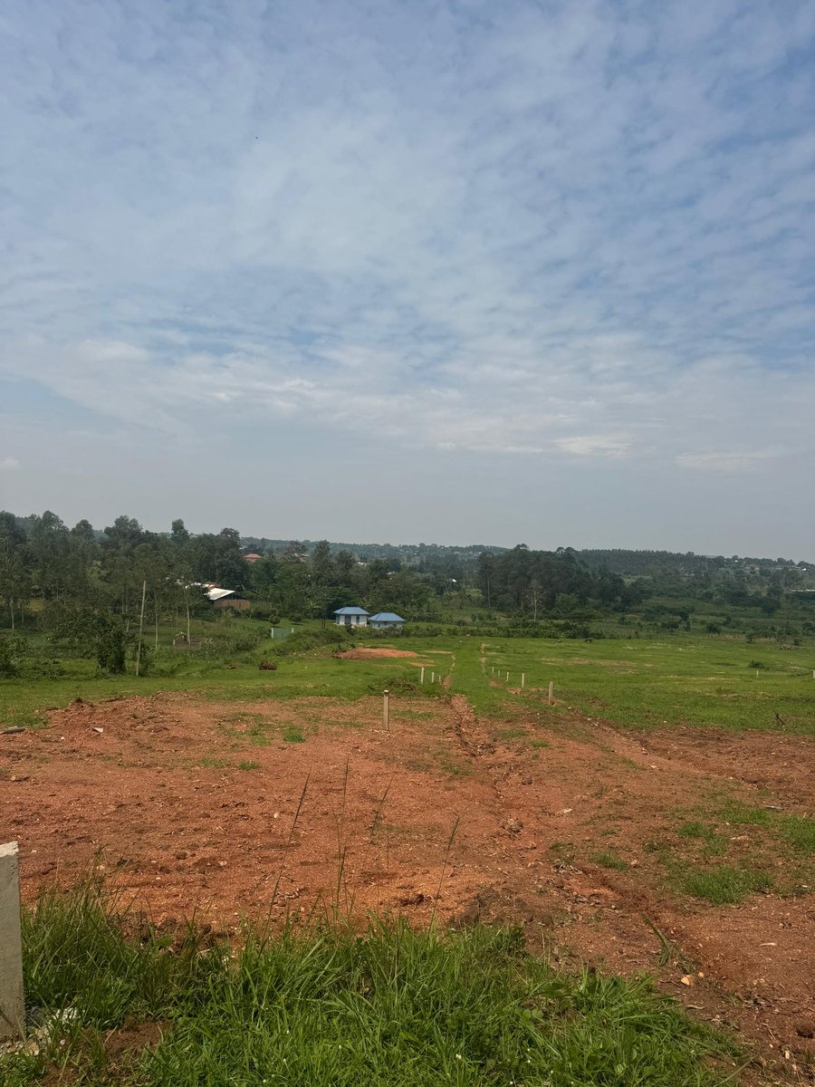KalwinUg's tweet photo. Land on sale! Own a 50x100 ft plot in the well-planned Gayaza-Kiwenda Estate for just UGX 35M! With only 8 plots available, enjoy free land title transfer, ready amenities on-site.
#availableland
#landforsale https://t.co/e1WQoSdBxj