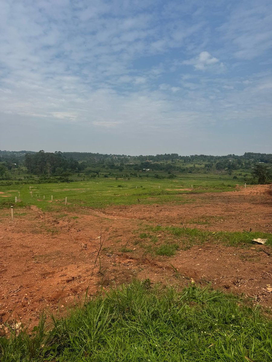 KalwinUg's tweet photo. Land on sale! Own a 50x100 ft plot in the well-planned Gayaza-Kiwenda Estate for just UGX 35M! With only 8 plots available, enjoy free land title transfer, ready amenities on-site.
#availableland
#landforsale https://t.co/e1WQoSdBxj