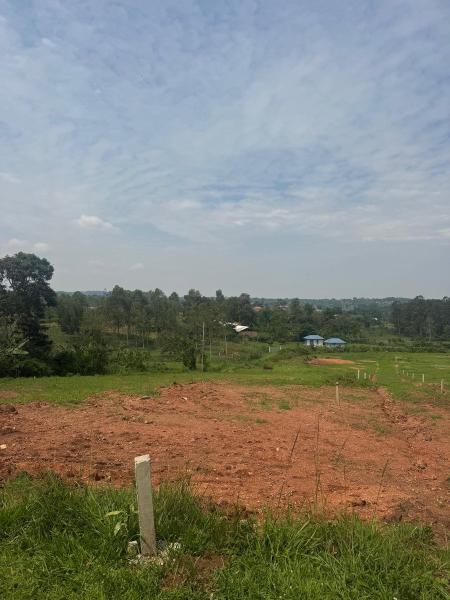 KalwinUg's tweet photo. Land on sale! Own a 50x100 ft plot in the well-planned Gayaza-Kiwenda Estate for just UGX 35M! With only 8 plots available, enjoy free land title transfer, ready amenities on-site.
#availableland
#landforsale https://t.co/e1WQoSdBxj