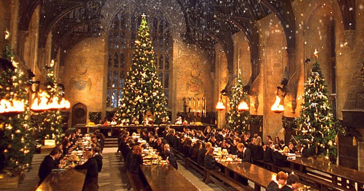 AlbusAlbuak's tweet photo. Merci aux élèves de Poudlard qui ont aidé à la décoration de Noël https://t.co/fkRjB0l3mC