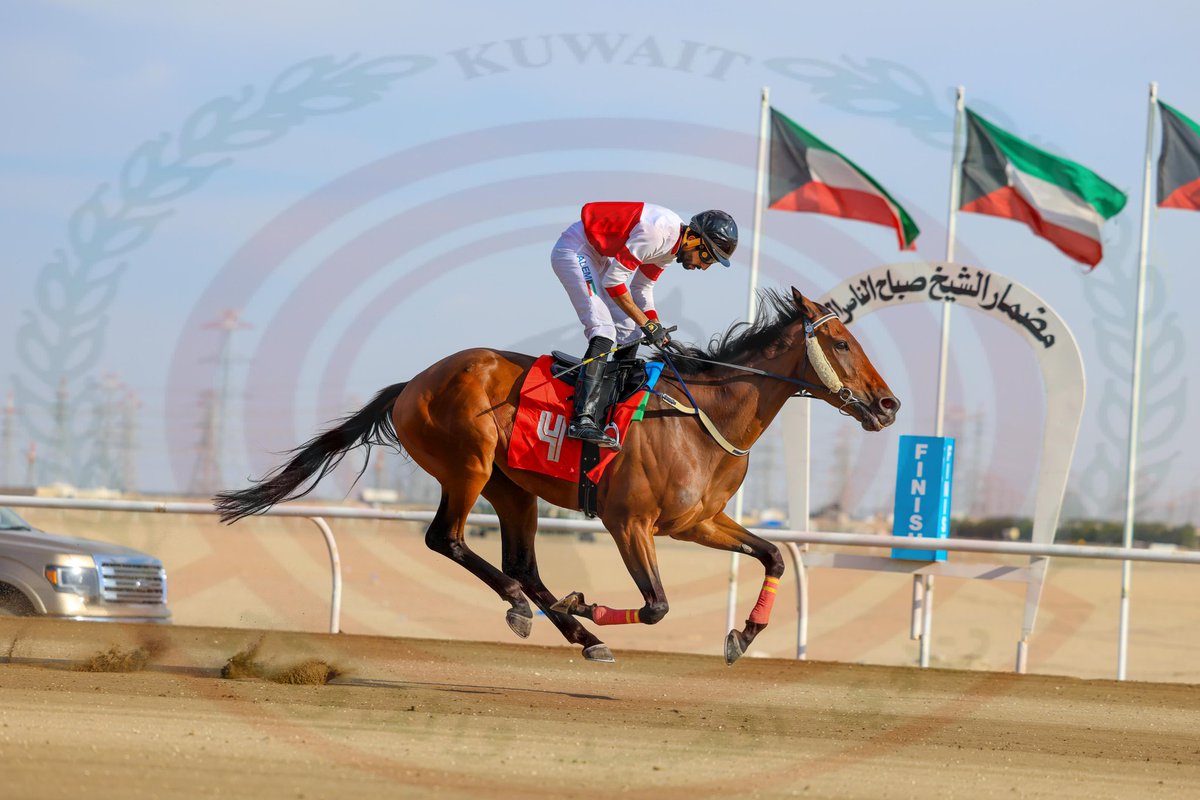 الشوط الاول الجواد الطور اسطبل الحجيلان