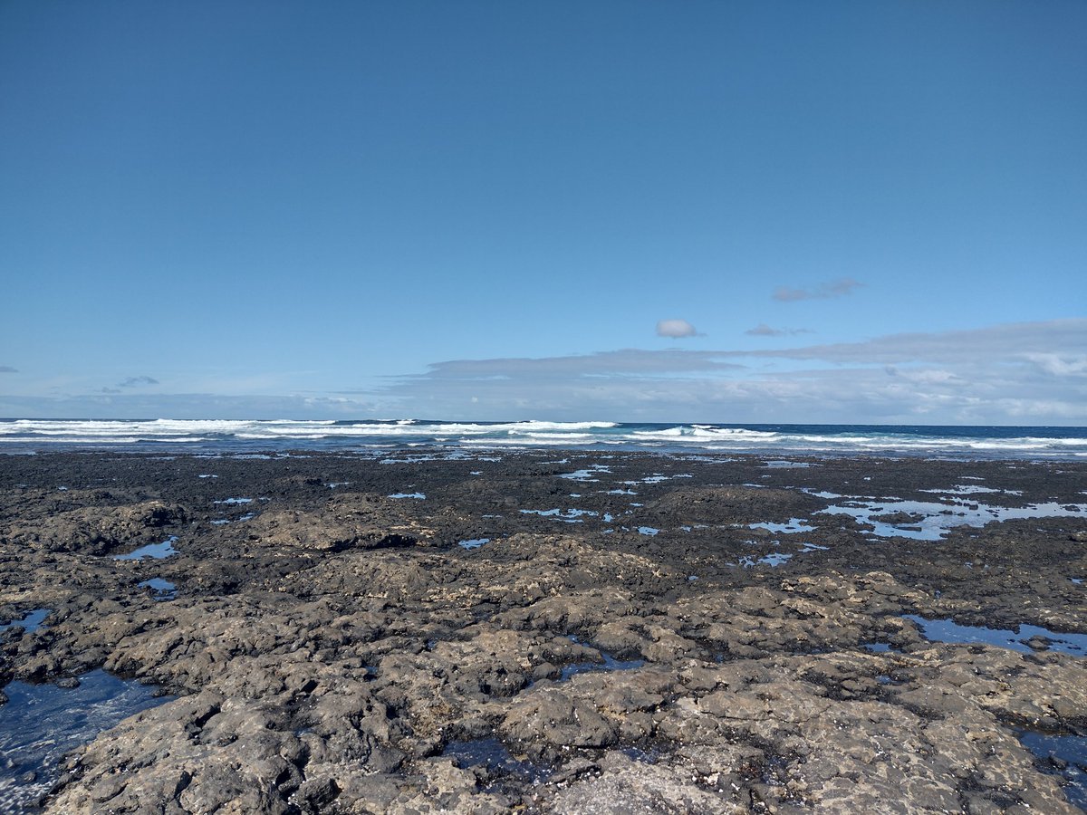 DeeLau1's tweet photo. 1/2 Perfect weather to visit #Popcornbeach #Fuerteventura #Corralejo https://t.co/qycP7I73JB