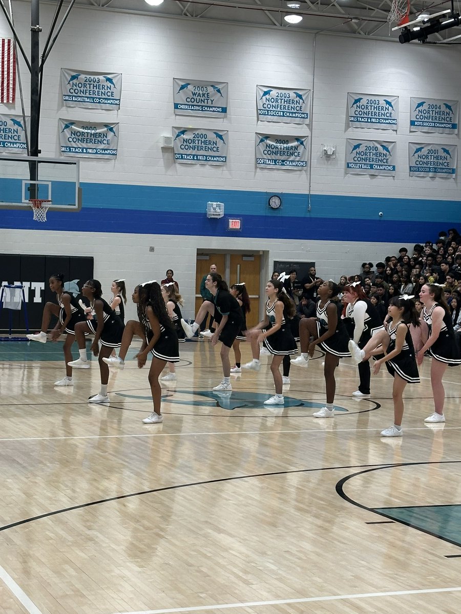 UnifiedDolphins tweet media