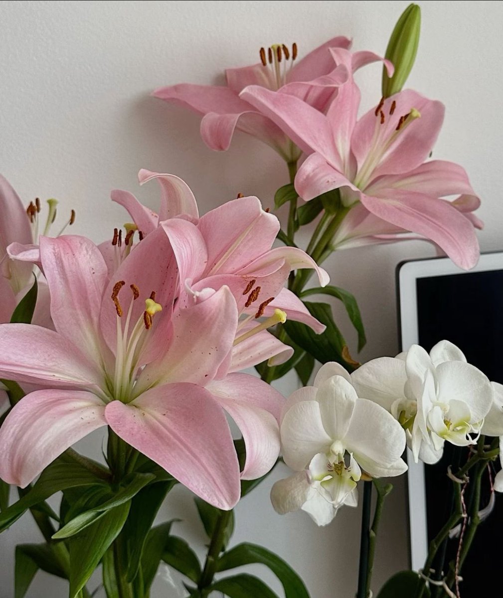 °❀.ೃ࿔* (@wurooods) on Twitter photo 