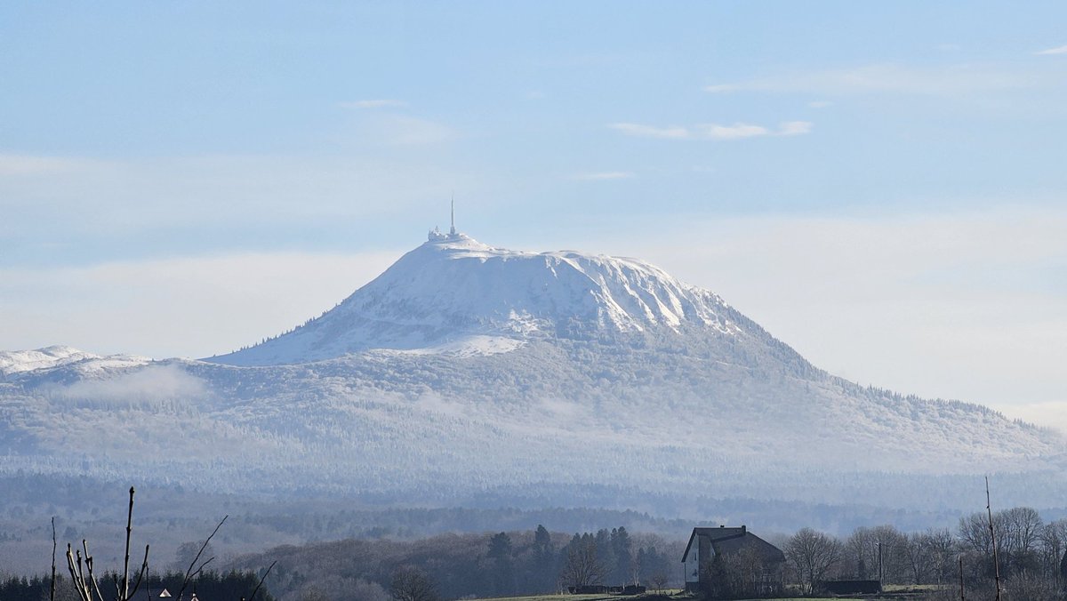 vincent souffron🌱 tweet media