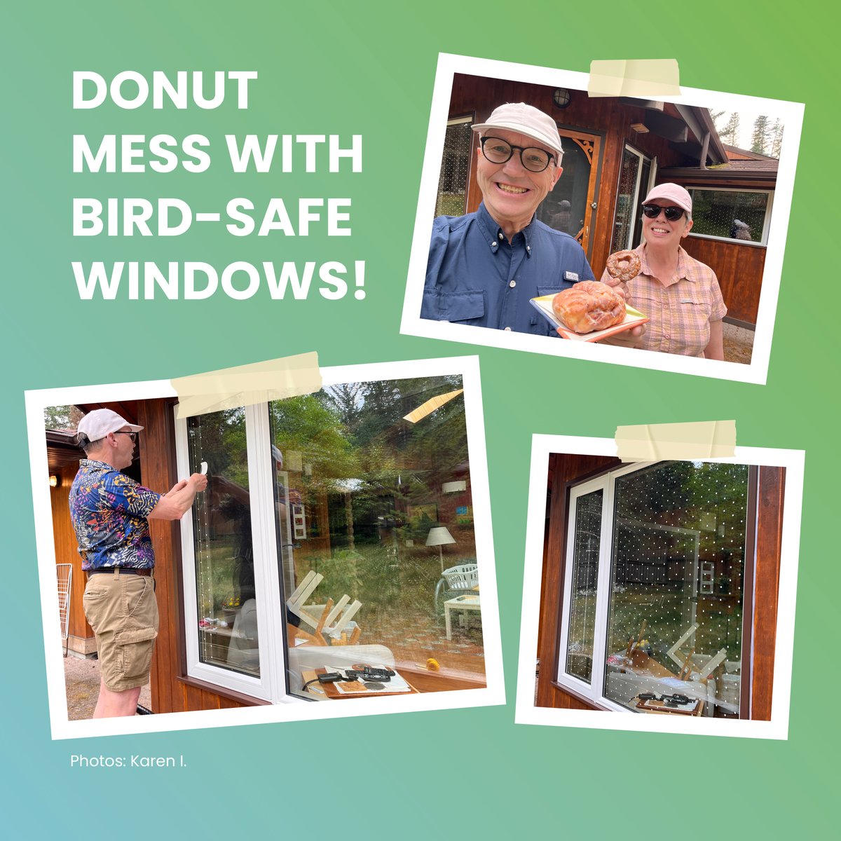 FeatherFriendly's tweet image. Karen I. and her husband are protecting birds by installing our Small-scale DIY markers.

They shared photos, complete with donuts in hand, that we sent over to them when we found out that they had a sweet tooth!

Now isn&apos;t that a sweet story?

#featherfriendly #savebirds