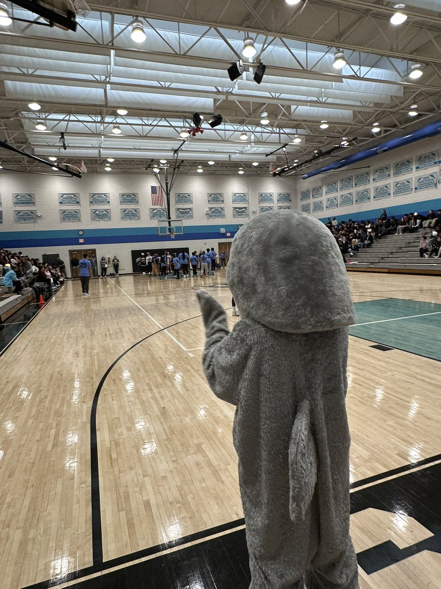 UnifiedDolphins tweet media