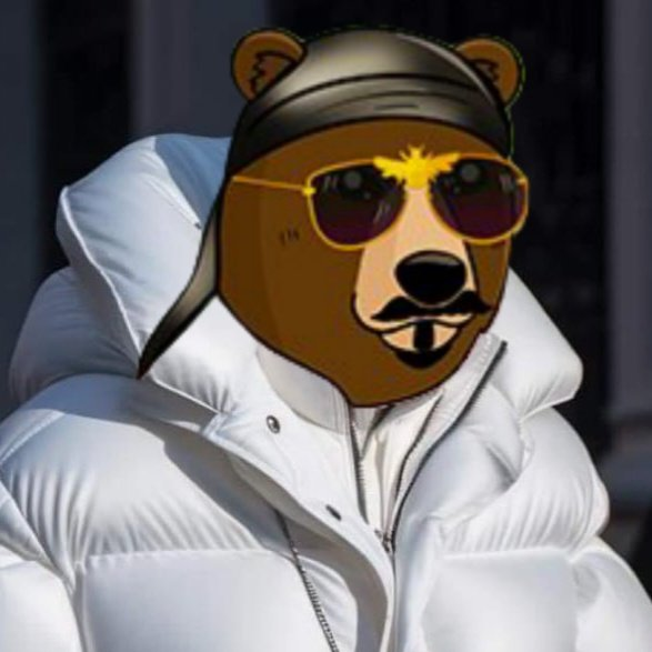 Bera Pope 🐻⛓️ tweet media