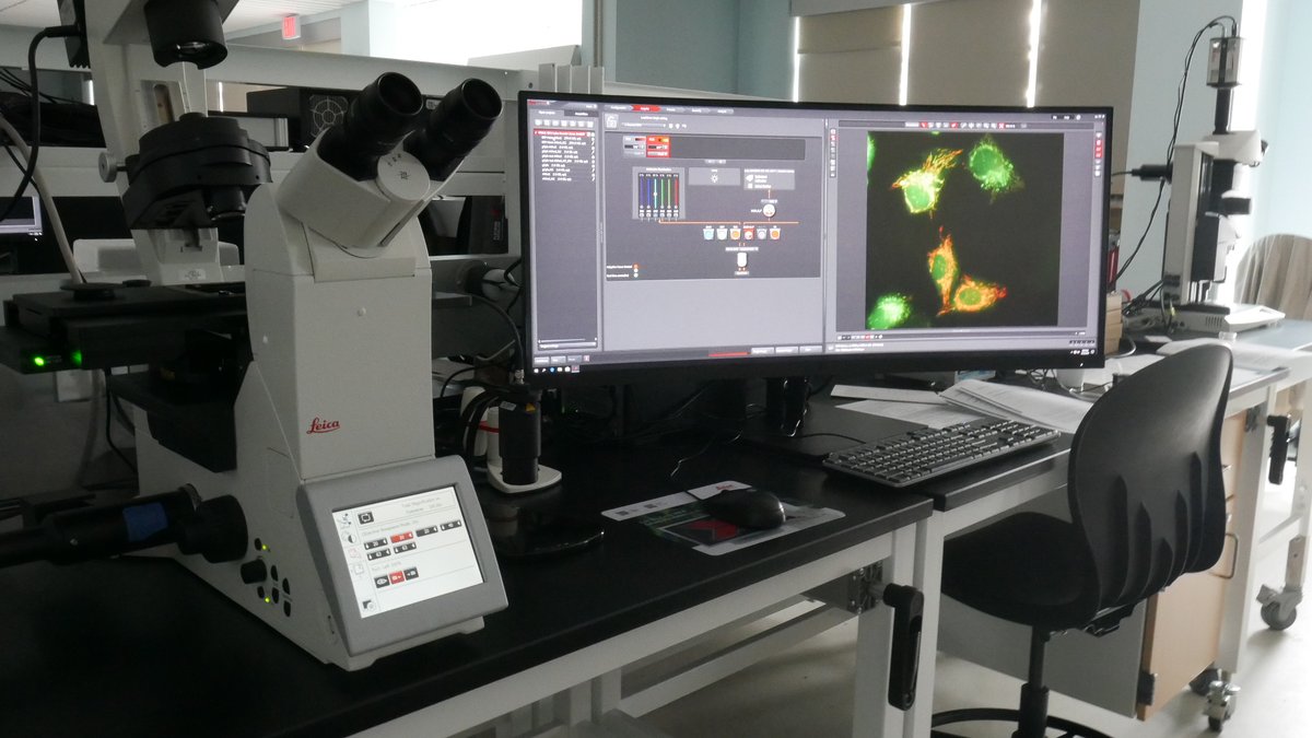 MDI Biological Lab tweet media