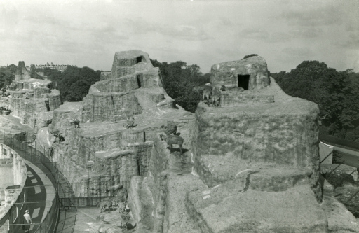 ZSL Library (@zsllibrary) on Twitter photo #InternationalMountainDay so we thought we would feature our own mountains - the Mappin Terraces <a href="/zsllondonzoo/">London Zoo</a>. Now Grade II listed.
This view by Frederick William Bond looks at the 'mountains' from the top of Goat Hill Grecian ibex & Barbary sheep are on the higher peaks. #InternationalMountainDay so we thought we would feature our own mountains - the Mappin Terraces <a href="/zsllondonzoo/">London Zoo</a>. Now Grade II listed.
This view by Frederick William Bond looks at the 'mountains' from the top of Goat Hill Grecian ibex & Barbary sheep are on the higher peaks.