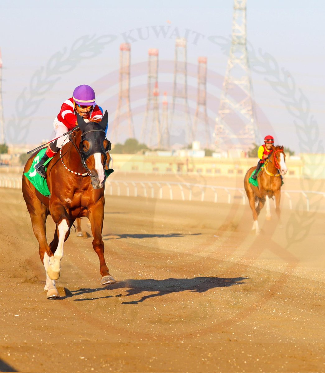 الشوط الثالث الجواد رفيع الشأن الاسطبل العودة