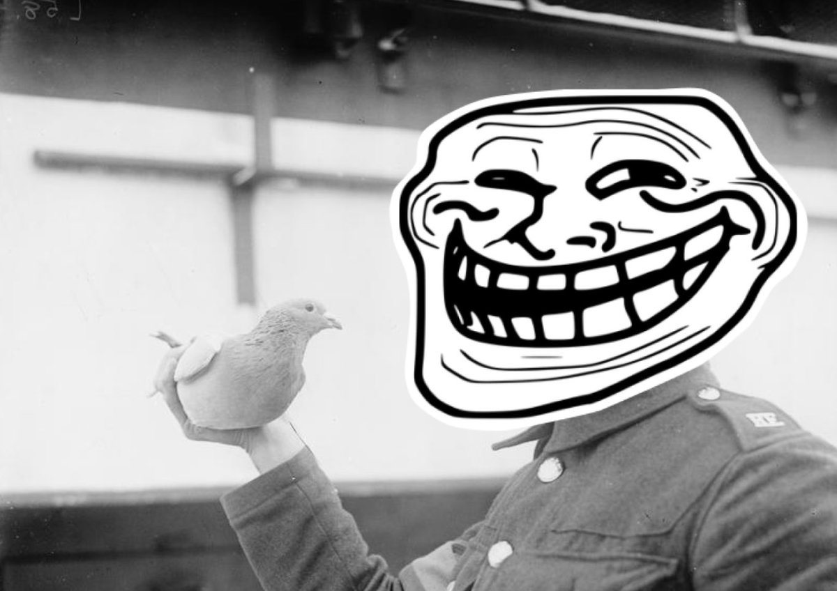 FIRST LEDGER TECH SUPPORT (@firstledgerr) on Twitter photo 