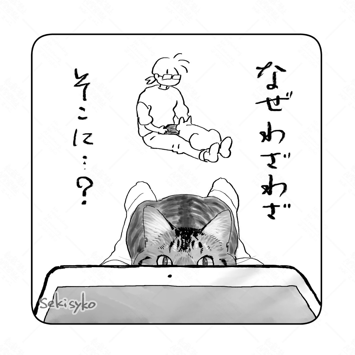 雑日記
足の上にiPad置いて見てたらその向こうに座り込んでこっち見てくることがある。こわい。あと足しびれた 
