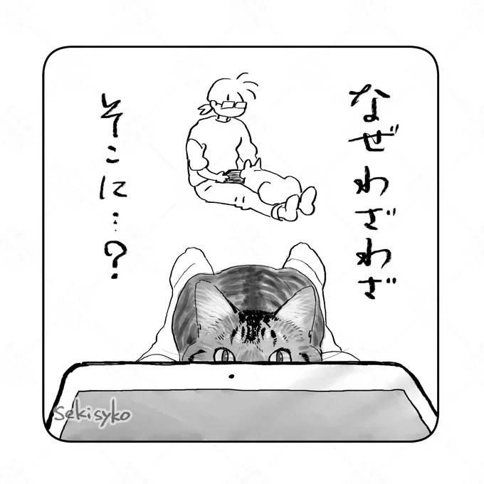 雑日記
足の上にiPad置いて見てたらその向こうに座り込んでこっち見てくることがある。こわい。あと足しびれた 
