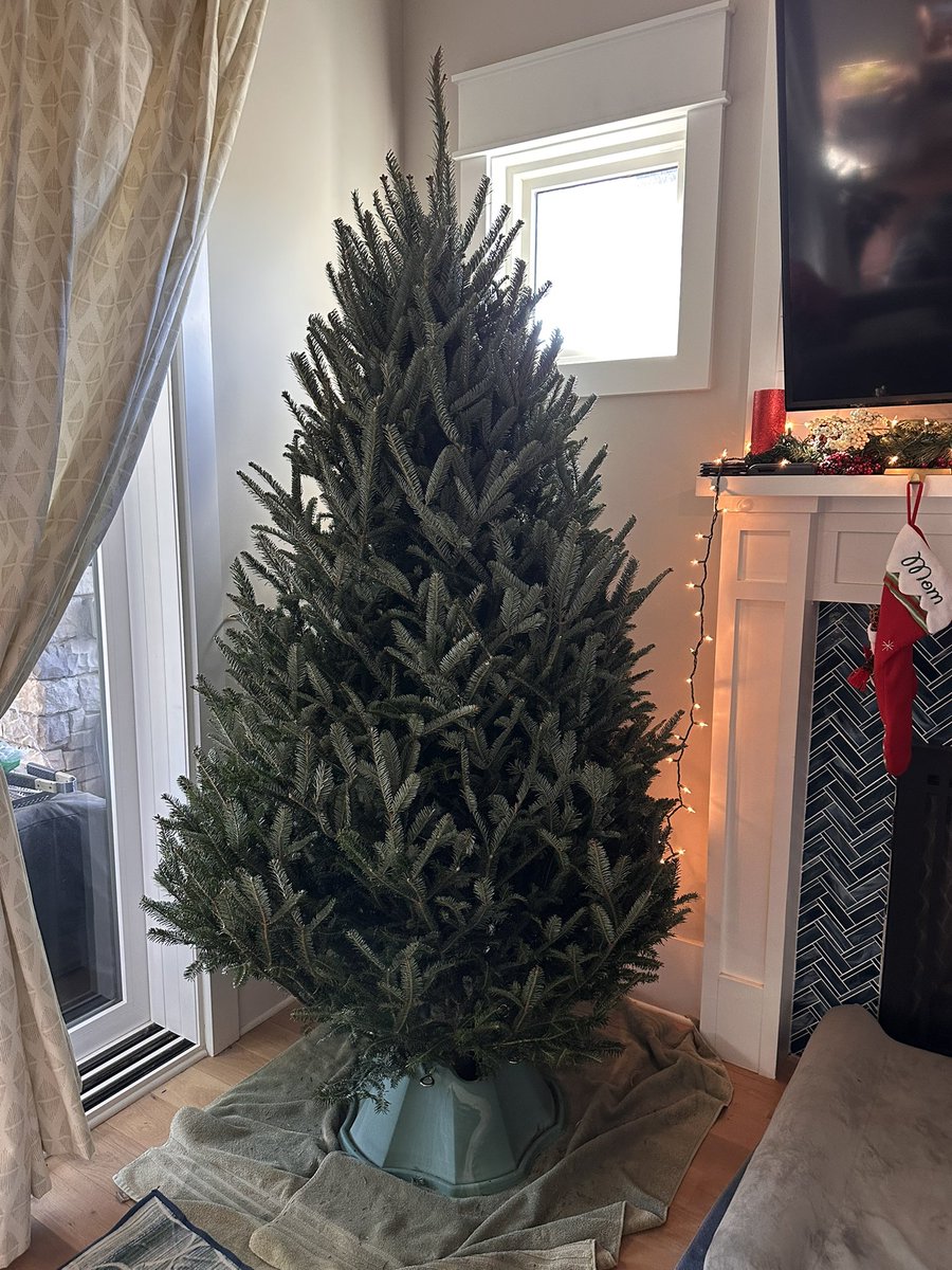 JohnGaltJD's tweet photo. @TrueFactsStated $135 for this 8 footer. Makes the wifey happy so well worth it! https://t.co/VlNtLanoZW