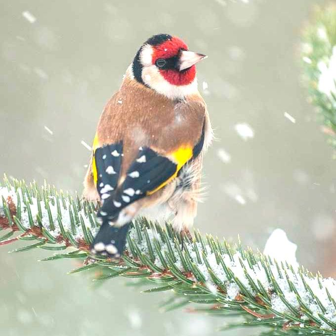 DavidAPlummer's tweet image. Christmas Gift Vouchers - mailchi.mp/6ed638b38eba/c…