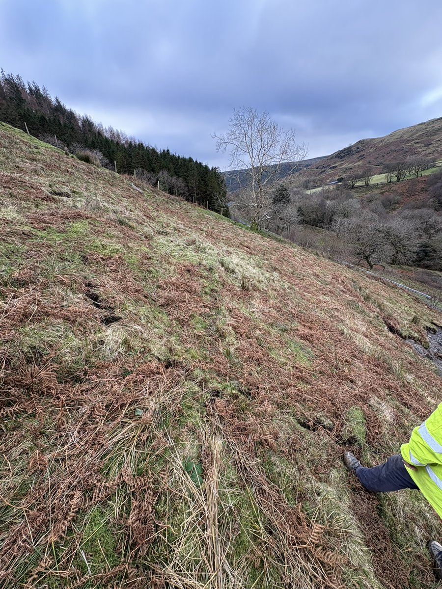 Traffic Wales North & Mid tweet media