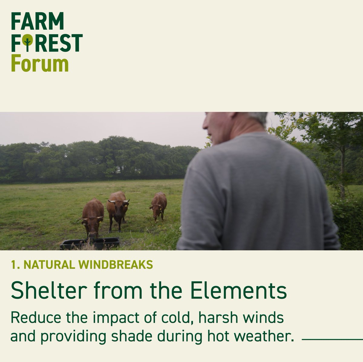 FarmForest tweet media