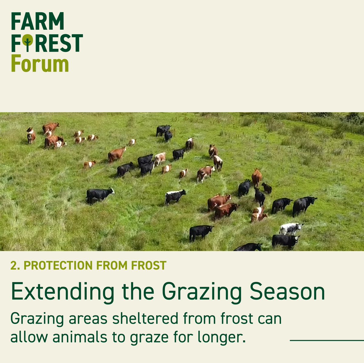 FarmForest tweet media