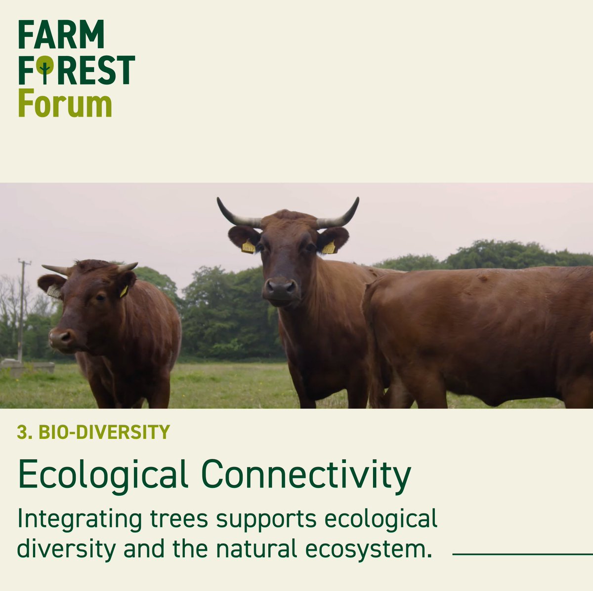 FarmForest tweet media